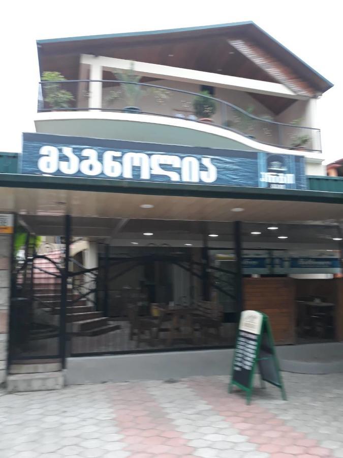 Magnolia Hotel Agmashenebeli 코불레티 외부 사진