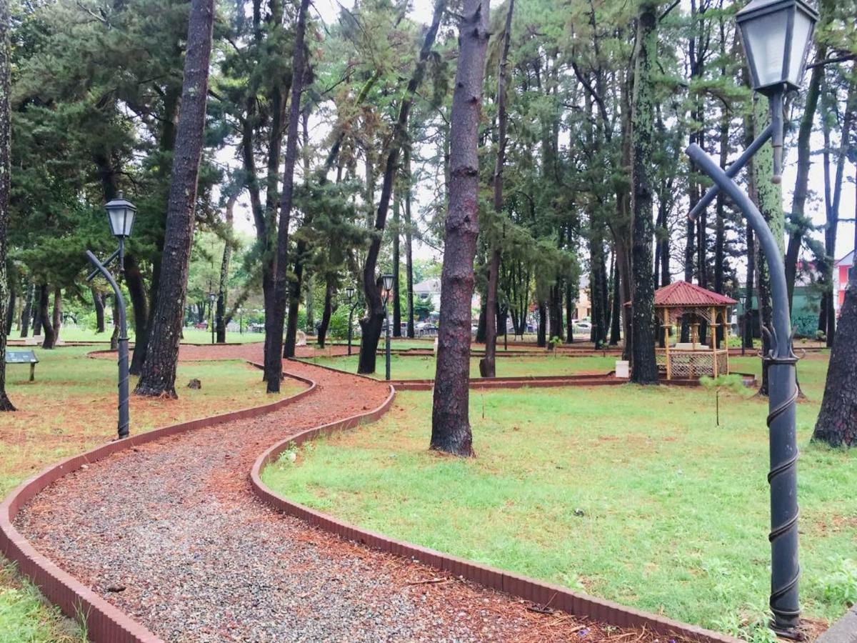 Magnolia Hotel Agmashenebeli 코불레티 외부 사진